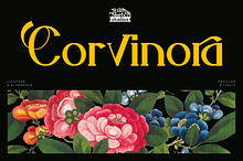 Corvinora - Serif Typeface Font