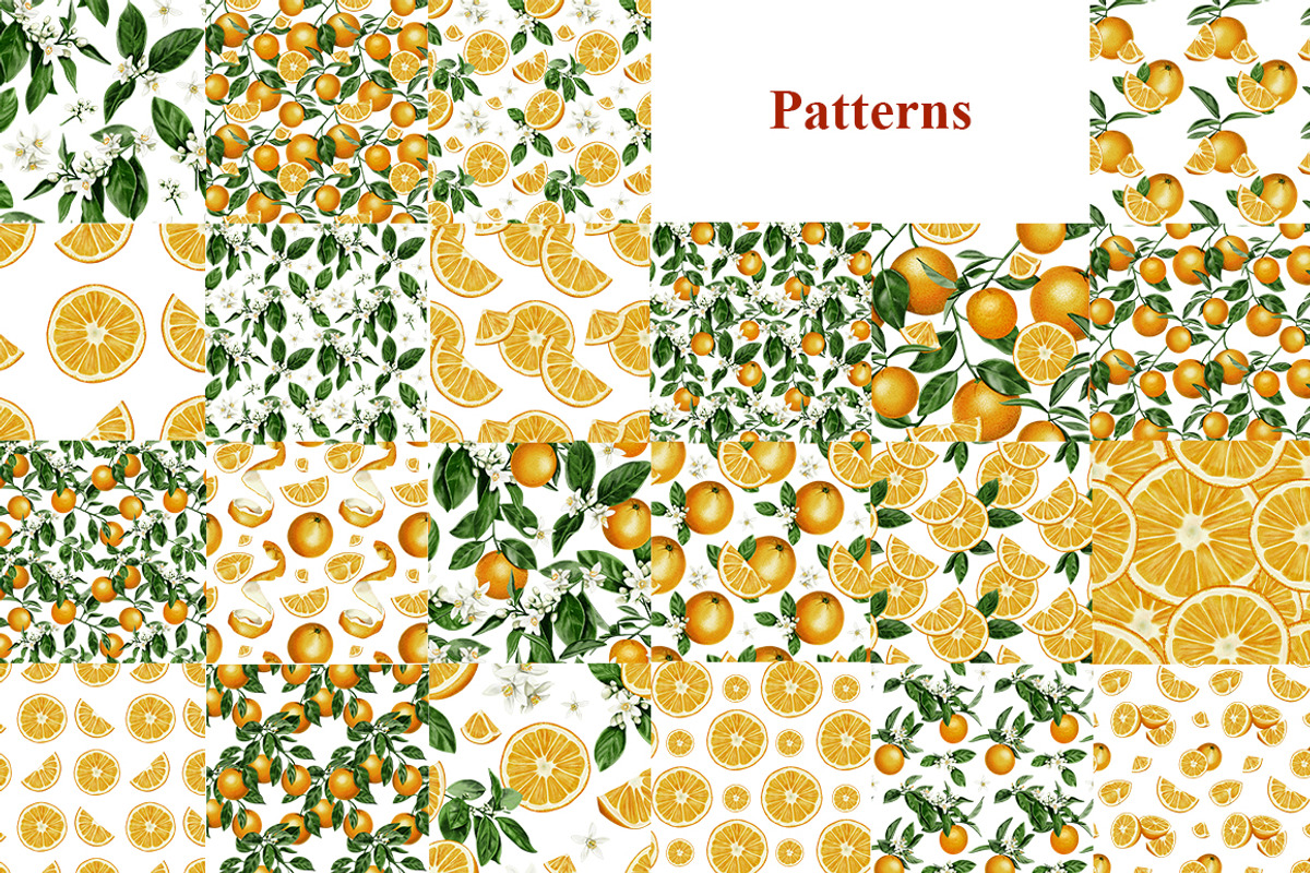 Oranges flowers and fruits clip art, a Food Illustration by Alena Sid (Photo 10 of 14)