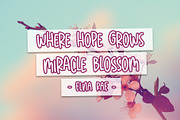 Sakura Blossom, a Sans Serif Font by Dm Studio (Thumbnail 2 of 6)