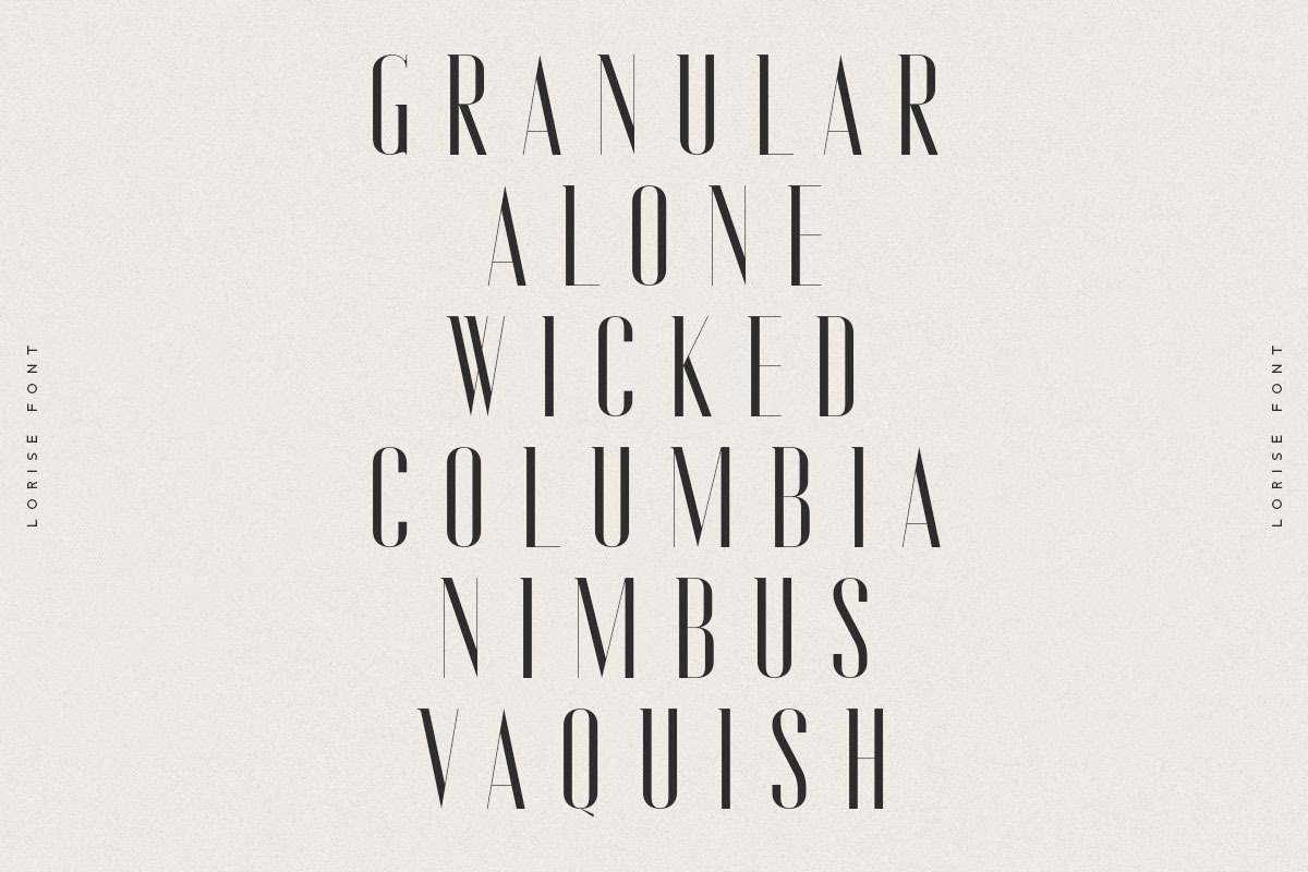 Lorise Font, a Sans Serif Font by vuuuds (Photo 6 of 21)