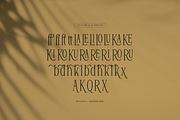Reftoliya | Modern Serif Font, a Serif Font by gracetype_studio (Thumbnail 11 of 12)