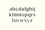 Biconvex Elegant Serif Font, a Serif Font by UICreative (Thumbnail 2 of 13)