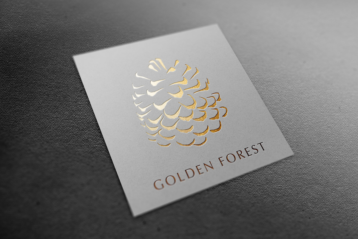Elegant Logos, a Branding & Logo Template by Michael Rayback Design (Photo 12 of 20)