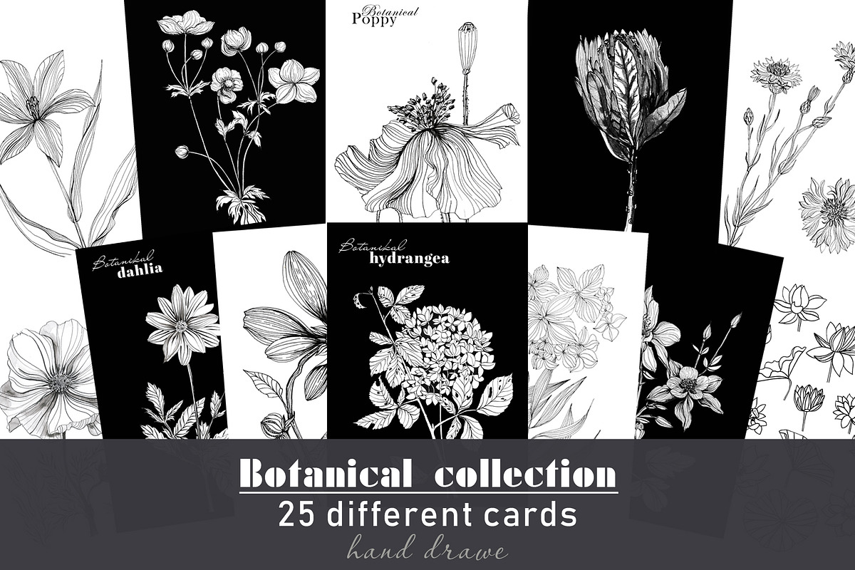 Botanical cards collection, a Decorative Illustration by Art AleshkaK (Photo 1 of 8)