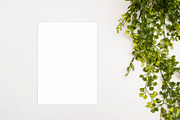 Mockup, Modern, Clean, Classy, a Photo by BlueBooks (Thumbnail 2 of 2)