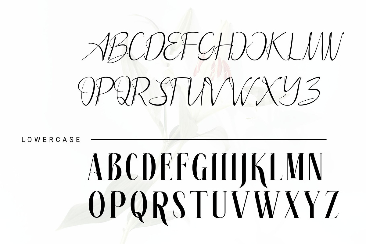 white over font serif, a Serif Font by azdaffstudio (Photo 3 of 14)