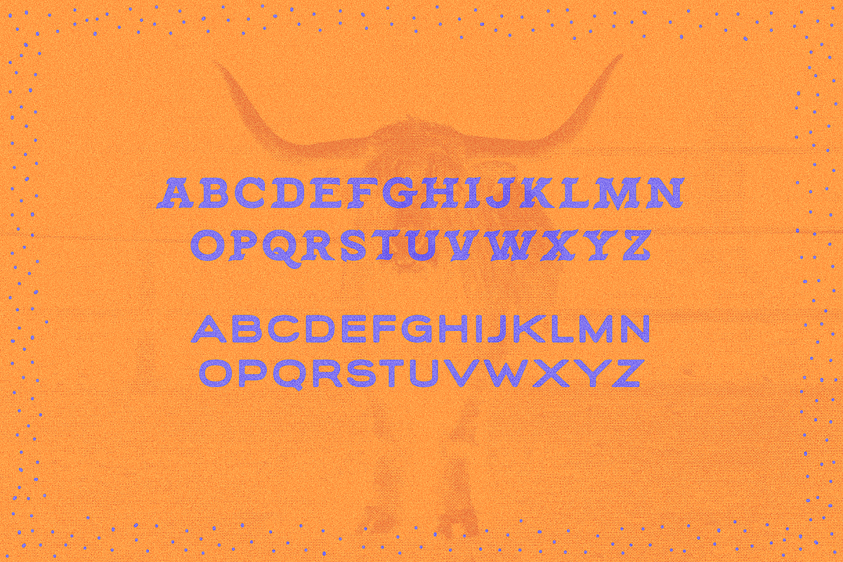 MWM Tequila Font Duo, a Font by mikewillsmakes (Photo 7 of 7)