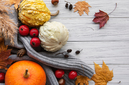 A rustic autumn still life with pumpkins, a Food & Drink Photo by Olena Rudo