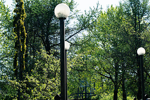 Sunny day in a green park with trees and vintage lampposts, a Photo by AS photostudio
