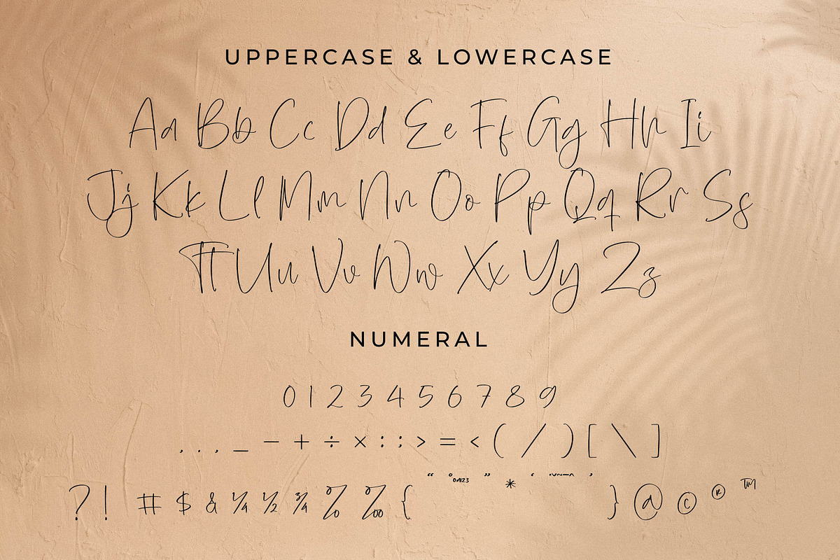 Norabita Thereal, a Handwritten Font by Integritype Studio (Photo 9 of 15)
