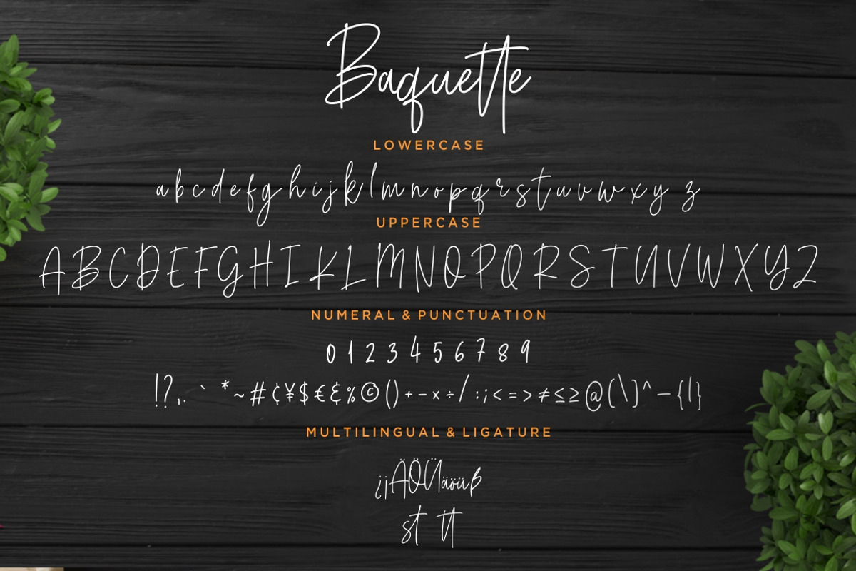 Baquette Monoline Business Font preview 7