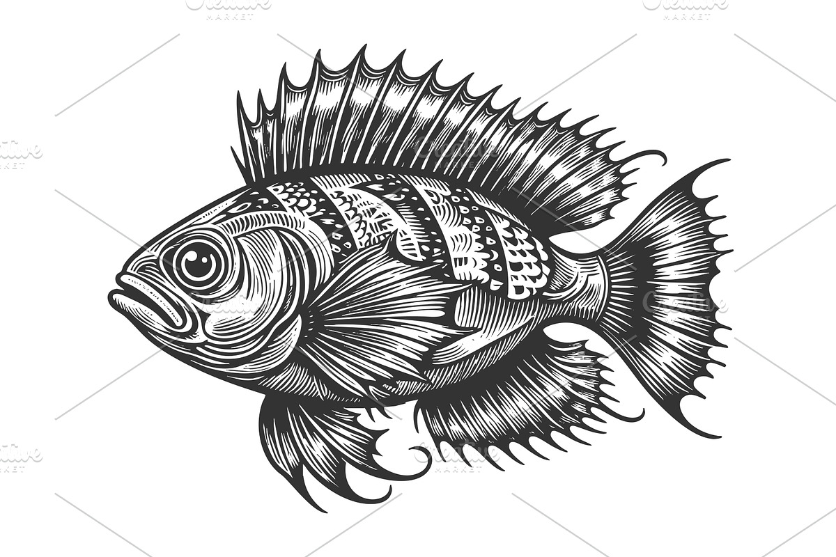 exotic tropical fish sketch vector, an Animal Illustration by AlexArt