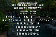 Tropical Garden | Script Font, a Script Font by Scratchones (Thumbnail 7 of 8)