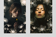 X-Ray Meadow Flora Overlays, a Texture Graphic by PhotoSpirit (Thumbnail 6 of 8)