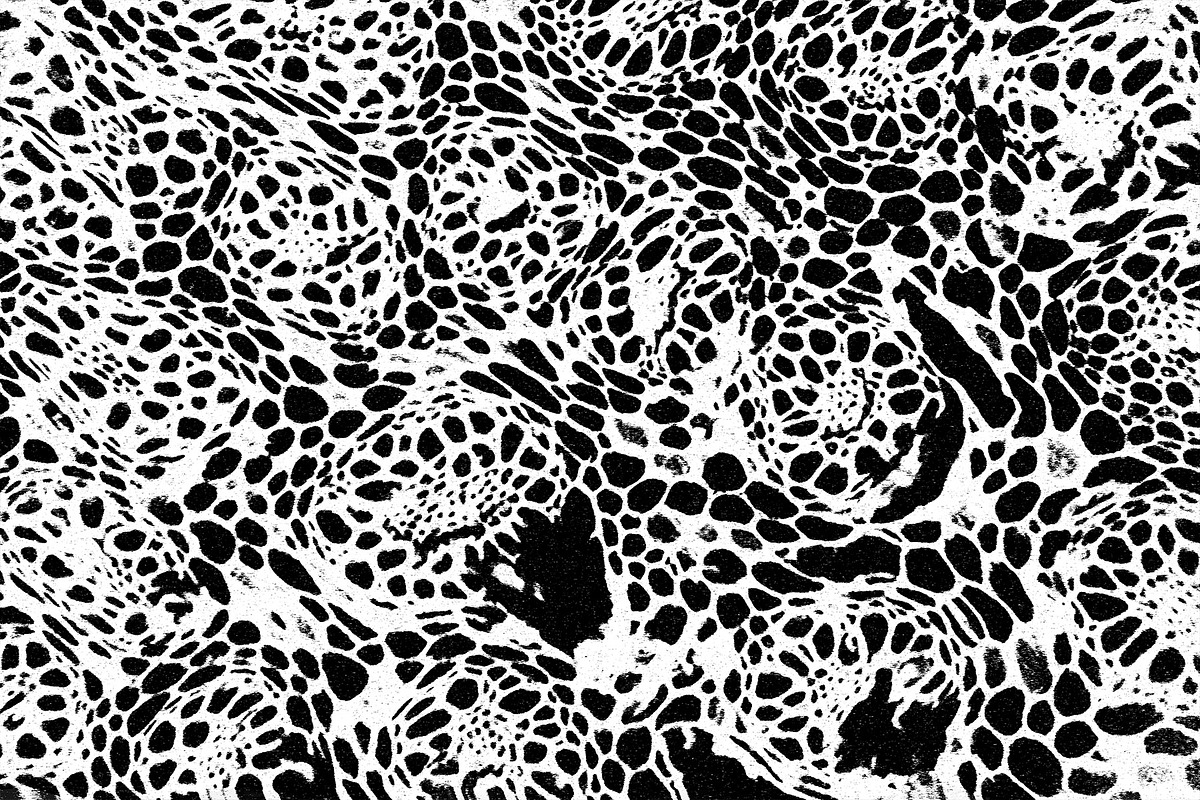 Frenzy Vol 1, a Texture Graphic by Jennifer Lauren Creative (Photo 6 of 16)