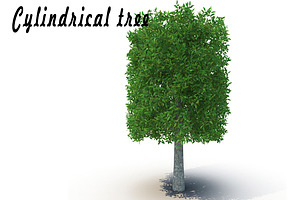 Cylindrical Tree_1