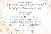 Delightful | Script Font, a Handwritten Font by Scratchones (Thumbnail 7 of 7)