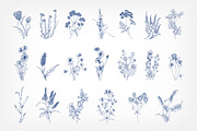 Wild flowers,herbs,herbaceous plants, a Texture Illustration by Good Studio (Thumbnail 3 of 22)