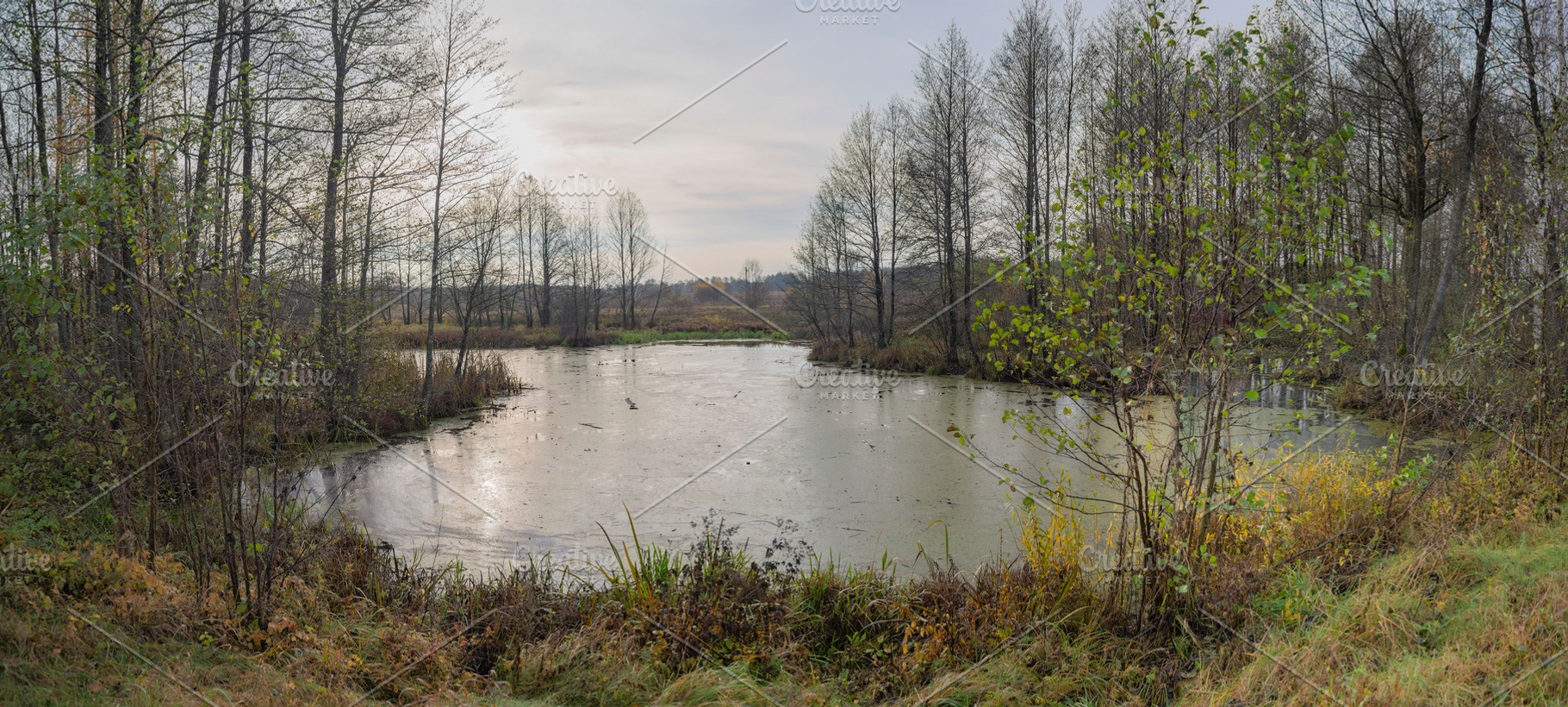 autumn swamp in the forest, a Photo by Pictures for you!!!!!!!!!