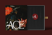 Astranala Modern Elegant Serif Font, a Serif Font by Vadovastd (Thumbnail 6 of 7)