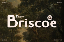 CS Briscoe Drawn