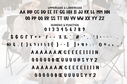 Holiday Winter | Script Font, a Script Font by Scratchones (Thumbnail 7 of 8)