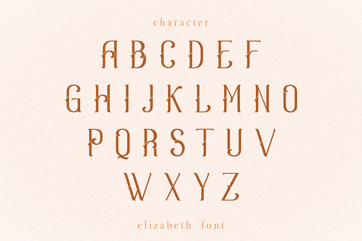 Elizabeth, a Serif Font by Umitype (Photo 10 of 11)