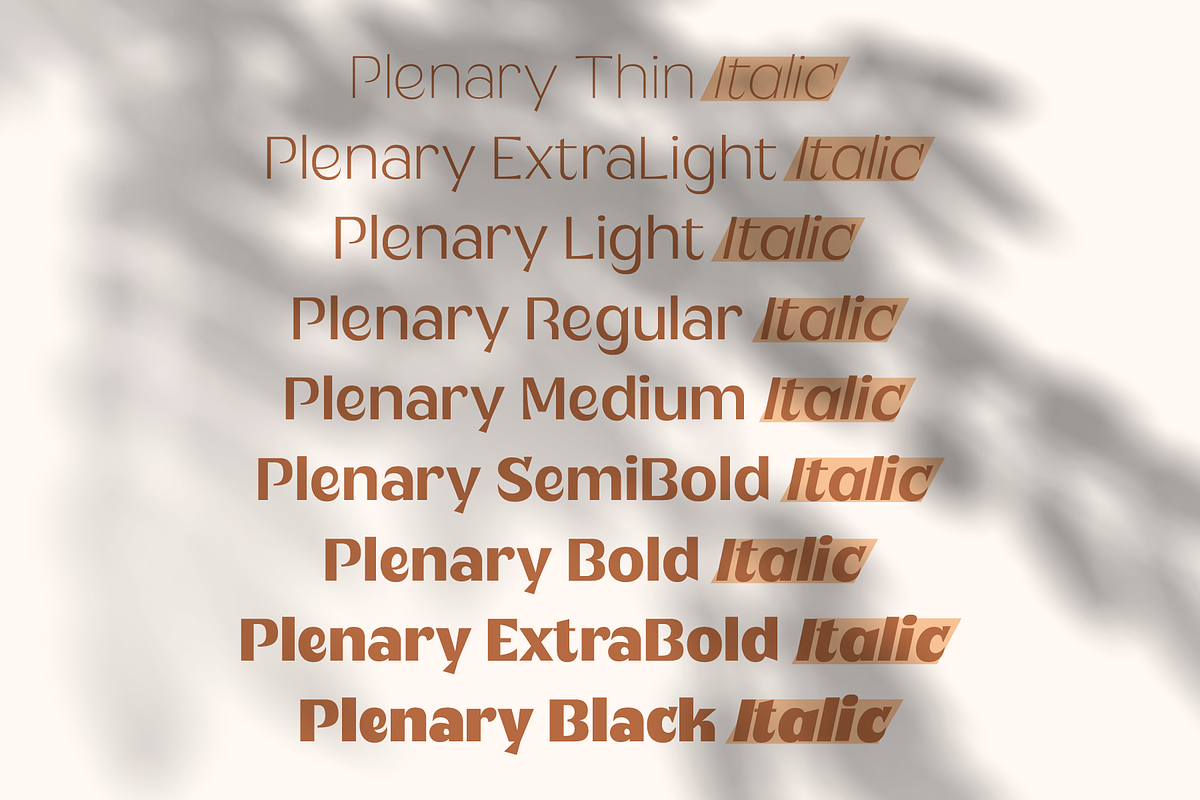 Plenary - A Lovely Sans Display, a Sans Serif Font by Fridaytype (Photo 2 of 12)