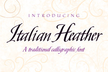 Italian Heather 