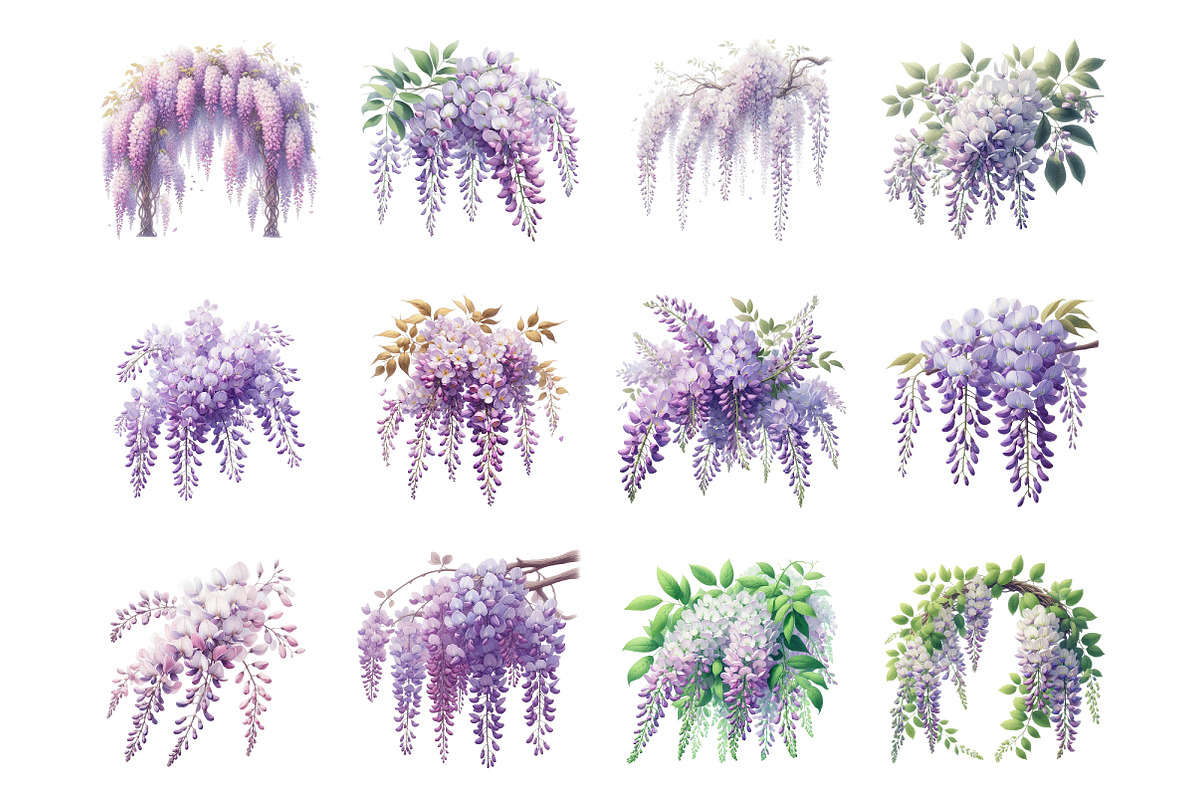 Wisteria Floral Garden Clipart PNG, an Illustration by SinaCreation (Photo 2 of 7)
