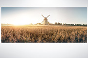 Autumn rural landscape, a Food Illustration by Countryside life (Thumbnail 2 of 9)
