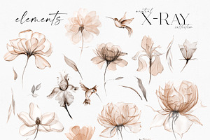 X-RAY Flowers Boho Collection