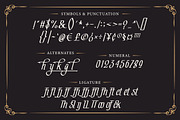 Aslah - Turkish Font Style, a Font by Typefactoryco (Thumbnail 3 of 10)