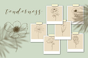 Flower Stamps for procreate, a Brush Add-On by Natalya_Mona_Art (Thumbnail 2 of 6)