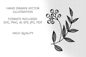 51 Line Art Botanical Illustrations