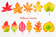 Fall collection. Watercolor., a Decorative Illustration by AlexGreenArt (Thumbnail 3 of 11)