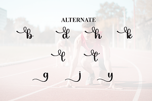 Ready Script Font