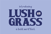 Lushgrass - Bold Serif Font, a Serif Font by Berdansabersama (Thumbnail 1 of 8)