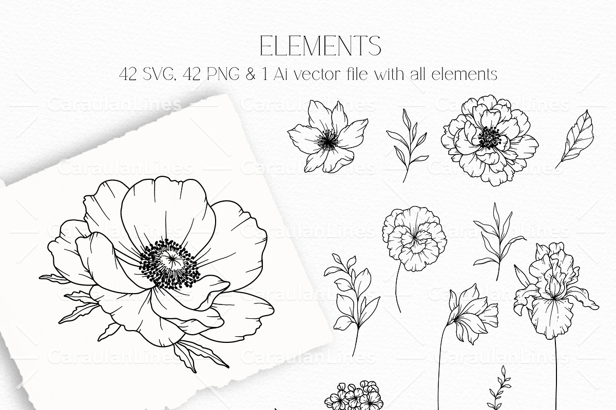 Spring Flowers Line Art, a Decorative Illustration by CaraulanStore (Photo 5 of 9)