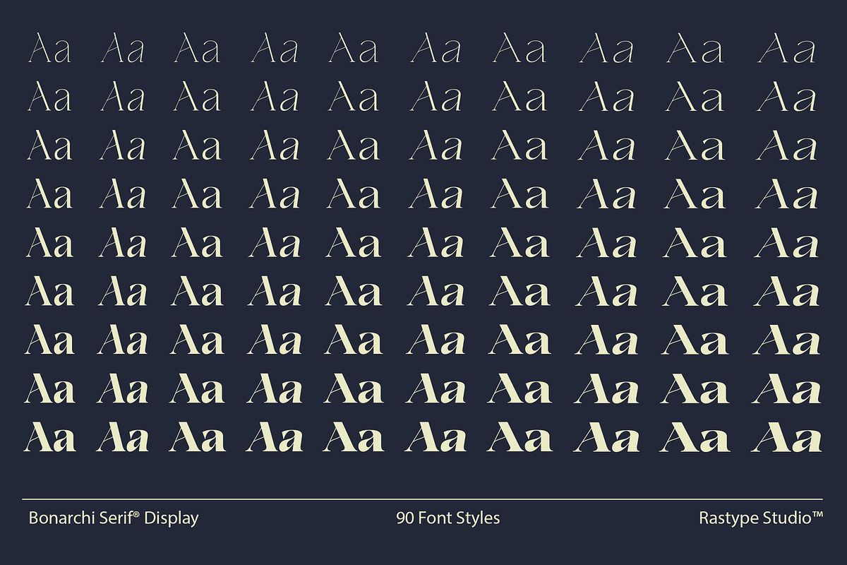 Bonarchi - Family Font, a Serif Font by Rastype (Photo 9 of 10)
