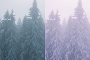 5 LILAC LIGHTROOM PRESETS, an Action Add-On by Emma Kate Creative (Thumbnail 7 of 10)
