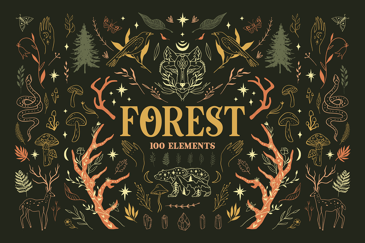Forest Bundle, an Animal Illustration by Annie Konst (Photo 1 of 23)