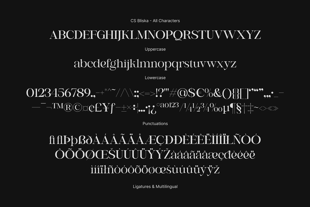 CS Bliska – Elegant Serif Font, a Serif Font by Craft Supply Co. (Photo 8 of 8)