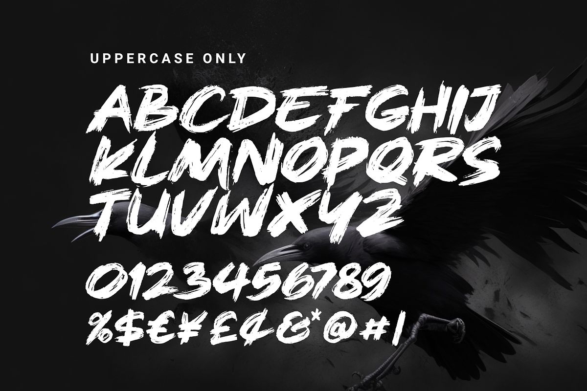 Rough Splash - Brush Font, a Handwritten Font by Dumadistyle (Photo 2 of 9)