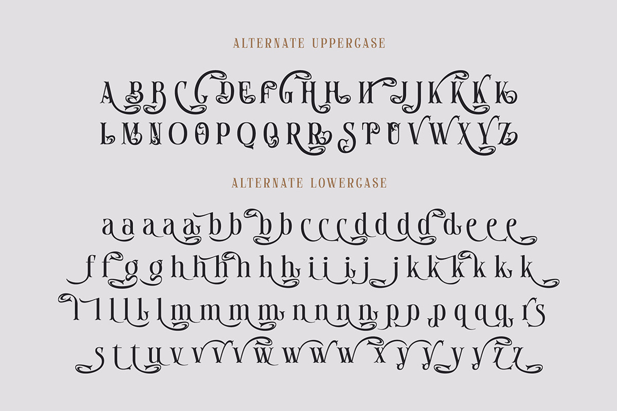 Manley, a Serif Font by Cruzine (Photo 6 of 8)
