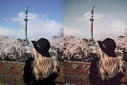 Desktop Lightroom Presets ROSE, a Preset Add-On by Color Me Presets (Thumbnail 5 of 9)
