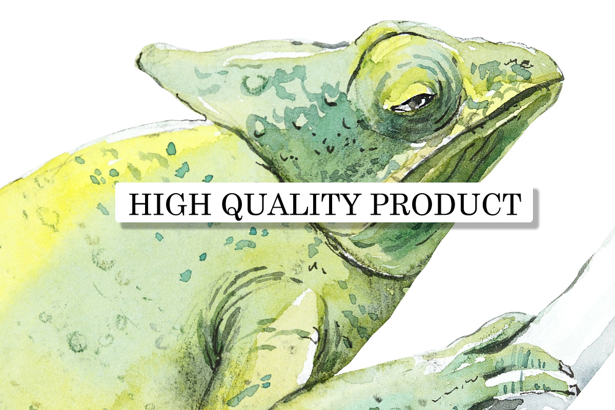 Watercolor Wild Animals, an Animal Illustration by Budogoshch (Photo 5 of 5)