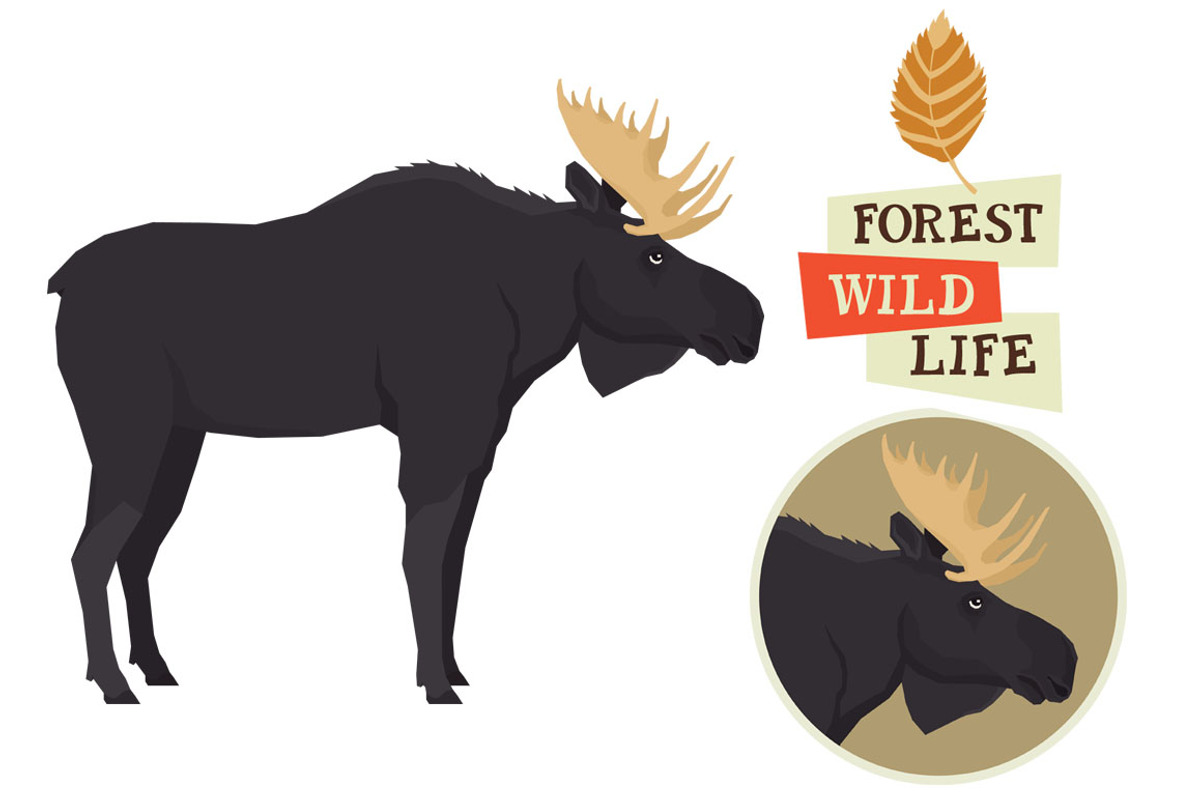 Moose Forest Wildlife set, an Object Graphic by Nenilkime (Photo 1 of 3)