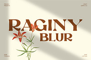 Raginy Blur, a Serif Font by Craft Supply Co. (Thumbnail 1 of 8)
