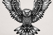 36 Eagle Vector Illustrations, an Animal Illustration by Alternate Studio (Thumbnail 4 of 7)